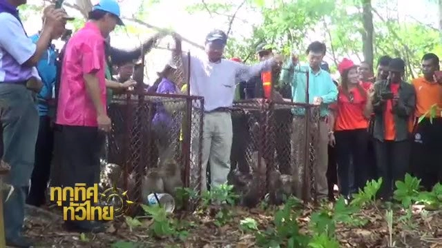 ประเด็นข่าว (24 พ.ค. 59)