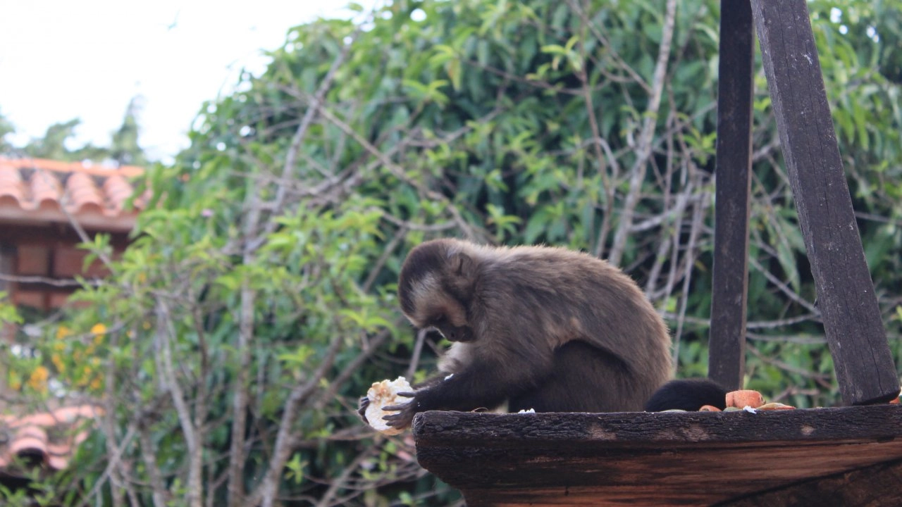 สวนสัตว์แห่งความรัก