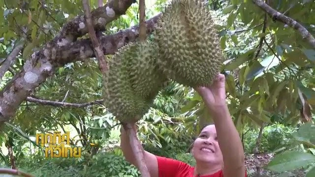 ประเด็นข่าว (25 พ.ค. 59)