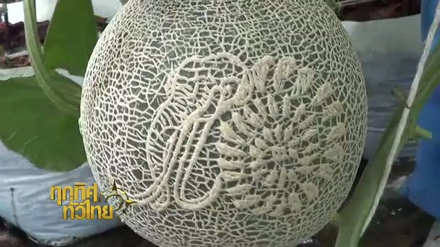 ประเด็นข่าว (27 พ.ค. 59)