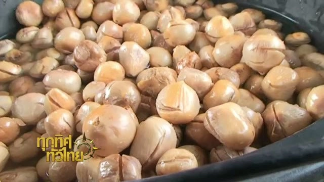 ประเด็นข่าว (1 มิ.ย. 59)