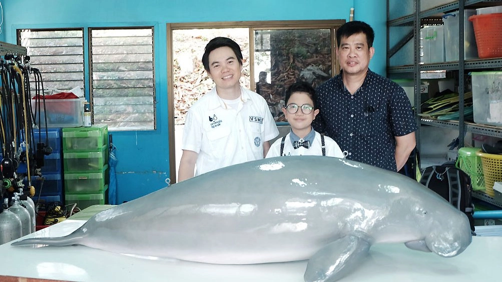 พะยูน...เงือกน้อยแห่งท้องทะเล ตอน 1