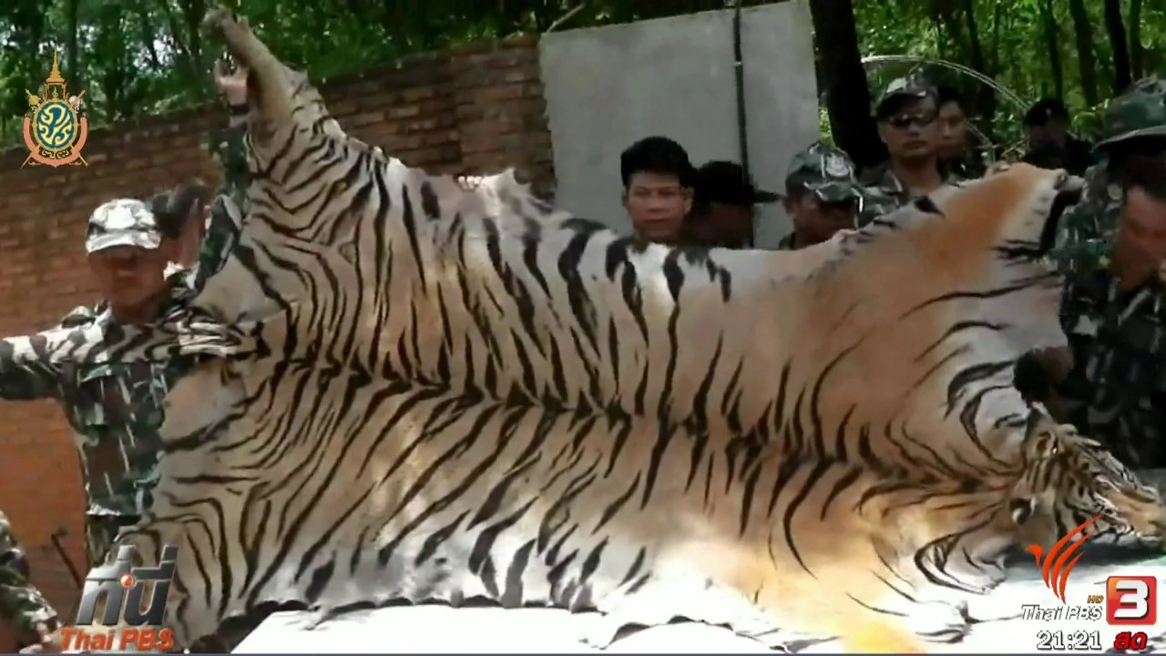 ประเด็นข่าว (2 มิ.ย. 59)