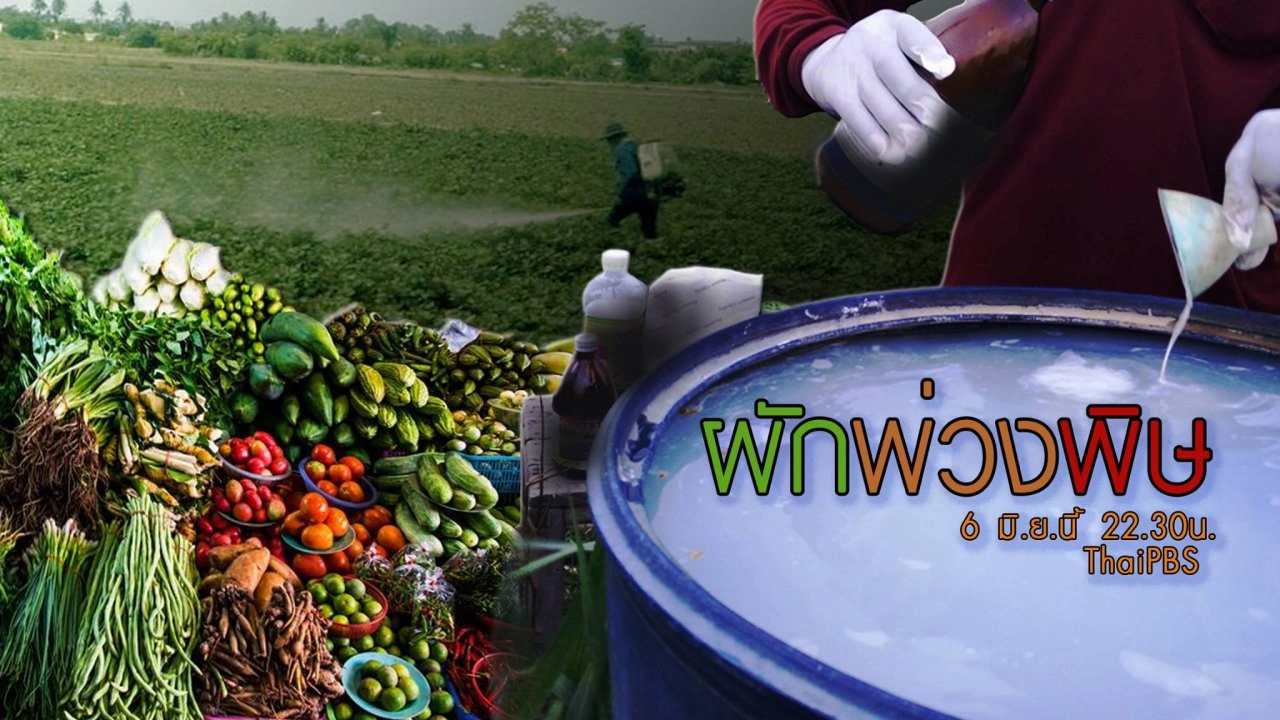 ผักพ่วงพิษ