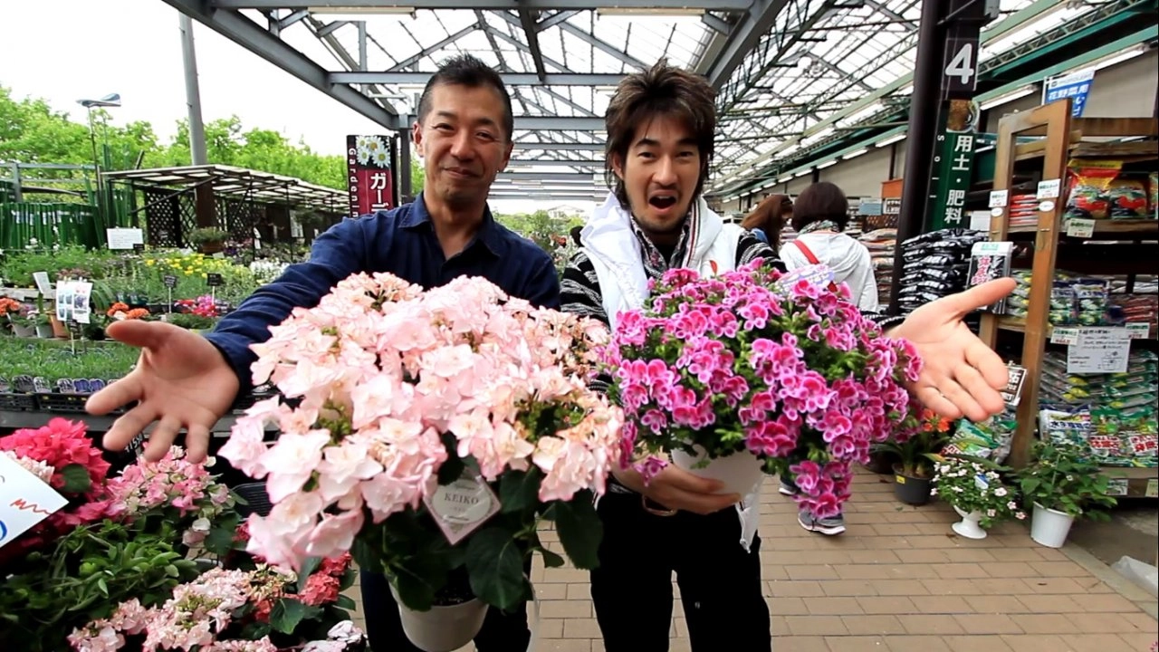 เมืองดอกไม้ หลายแสนพันธุ์