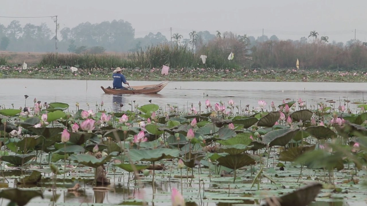 สายลับสีไฟ