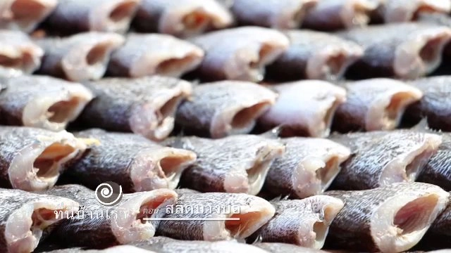 สลิดบางบ่อ