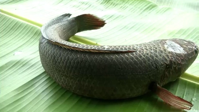 จ.สิงห์บุรี