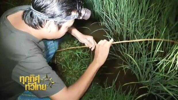 ประเด็นข่าว (19 ส.ค. 59)