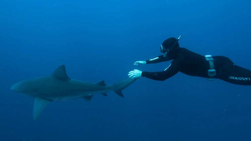 ดำดิ่งสู่ท้องทะเลลึก