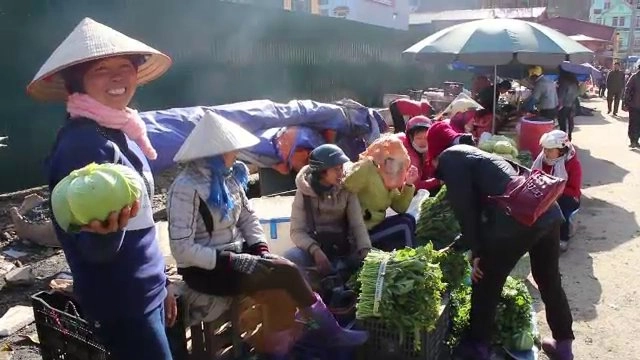 ซาปา ปลายทางหิมาลัย, เวียดนามอนุมัติไต้หวันลงทุนอุตสาหกรรมเกษตรสมัยใหม่