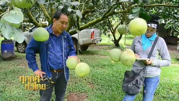 ประเด็นข่าว (23 ส.ค. 59)