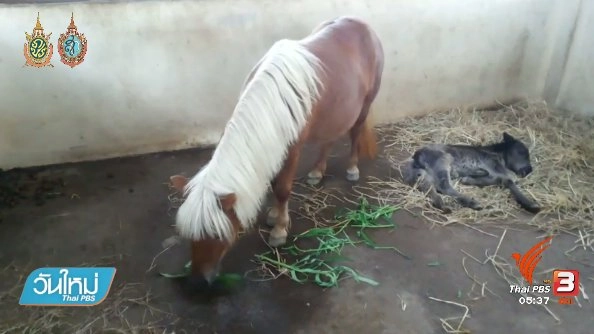 ประเด็นข่าว (24 ส.ค. 59)