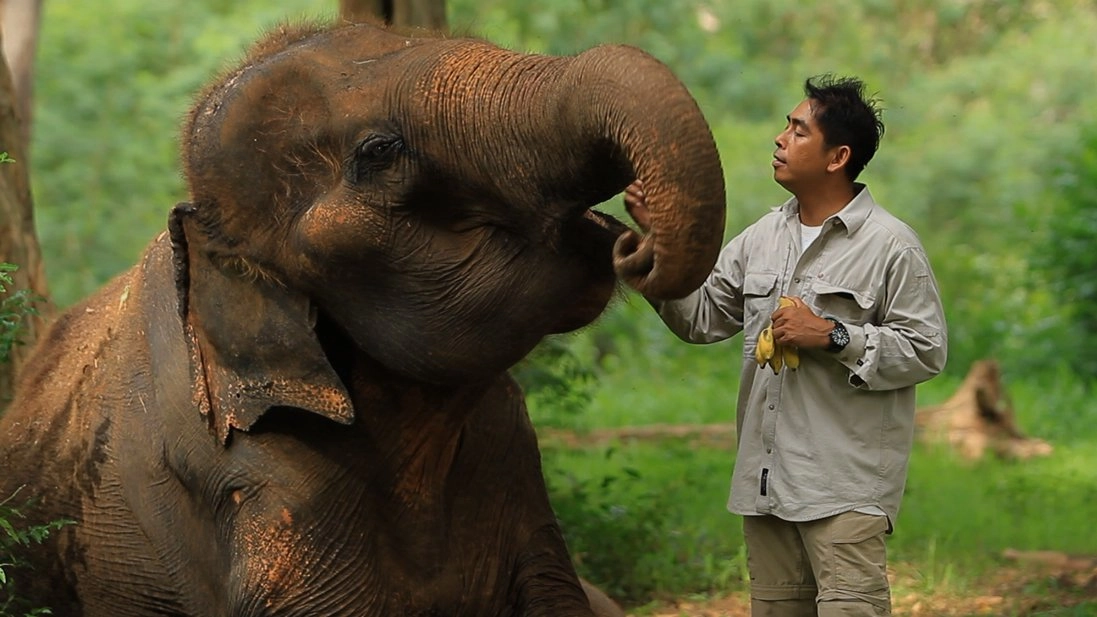 วิถีแห่งการเรียนรู้