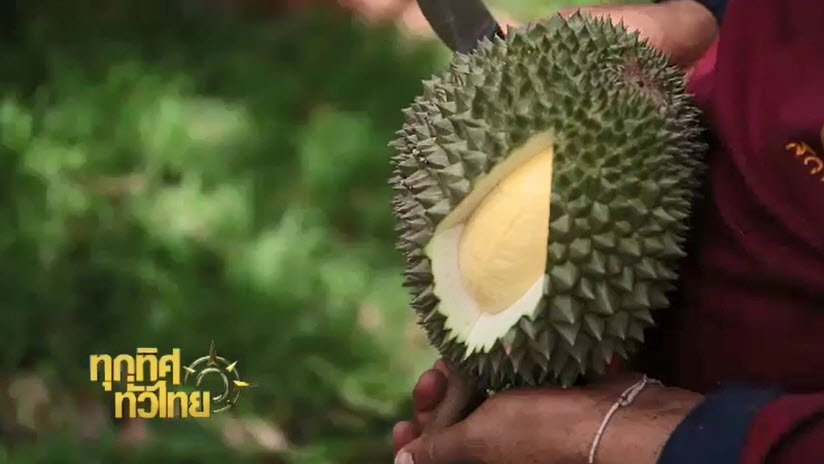 ประเด็นข่าว (24 ส.ค. 59)