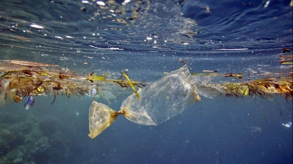 ​ลดใช้ถุงพลาสติก