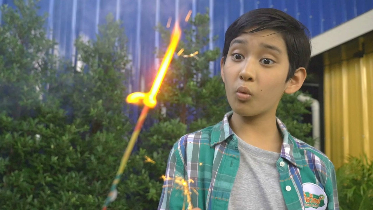 ดอกไม้ไฟหลากสี