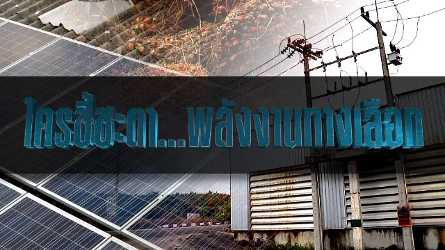 ใครชี้ชะตา พลังงานทางเลือก