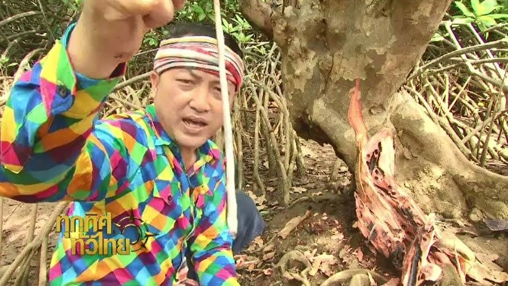 ประเด็นข่าว (2 ก.ย. 59)