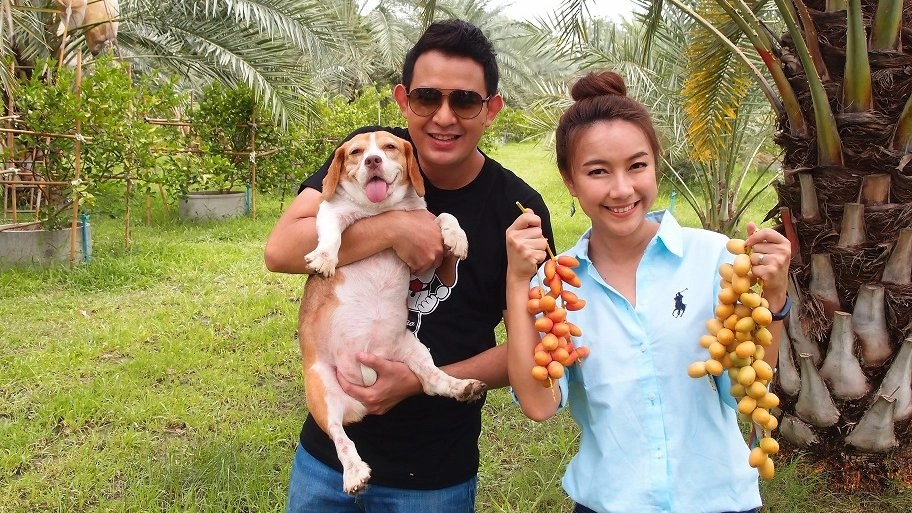 ​อินทผลัม