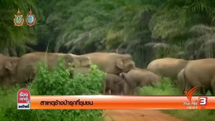 ร้องทุก(ข์) ลงป้ายนี้