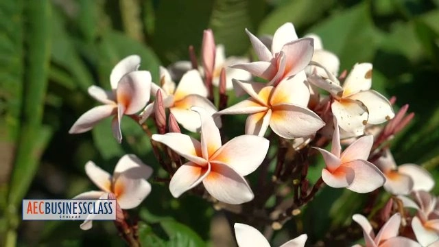 ลาวอนุรักษ์สู่ลาวประยุกต์, โอกาสและอุปสรรคด้านการลงทุน