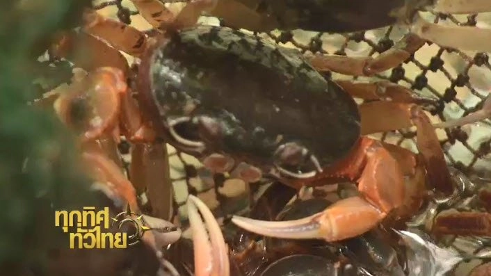 ประเด็นข่าว (8 ก.ย. 59)