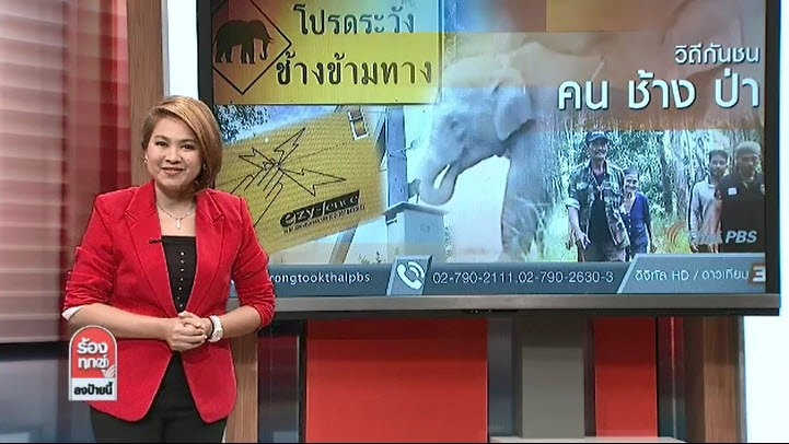 วิถีกันชน "คน ช้าง ป่า"