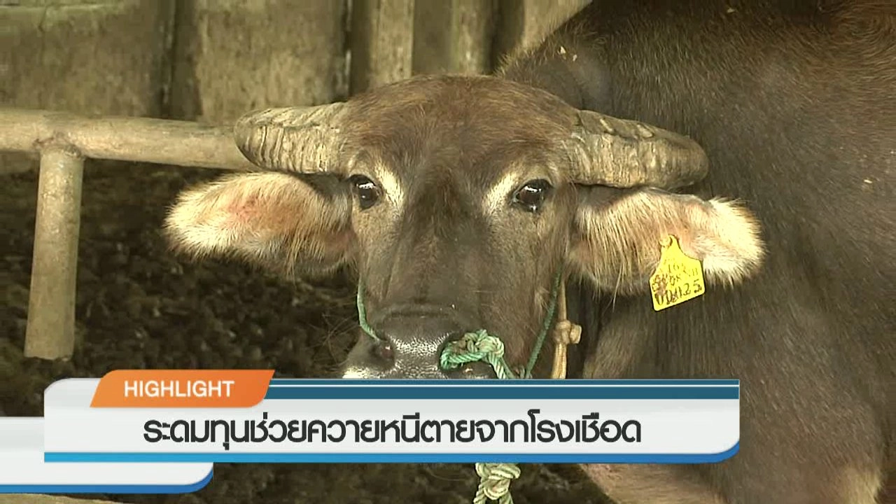 ประเด็นข่าว (9 ก.ย. 59)