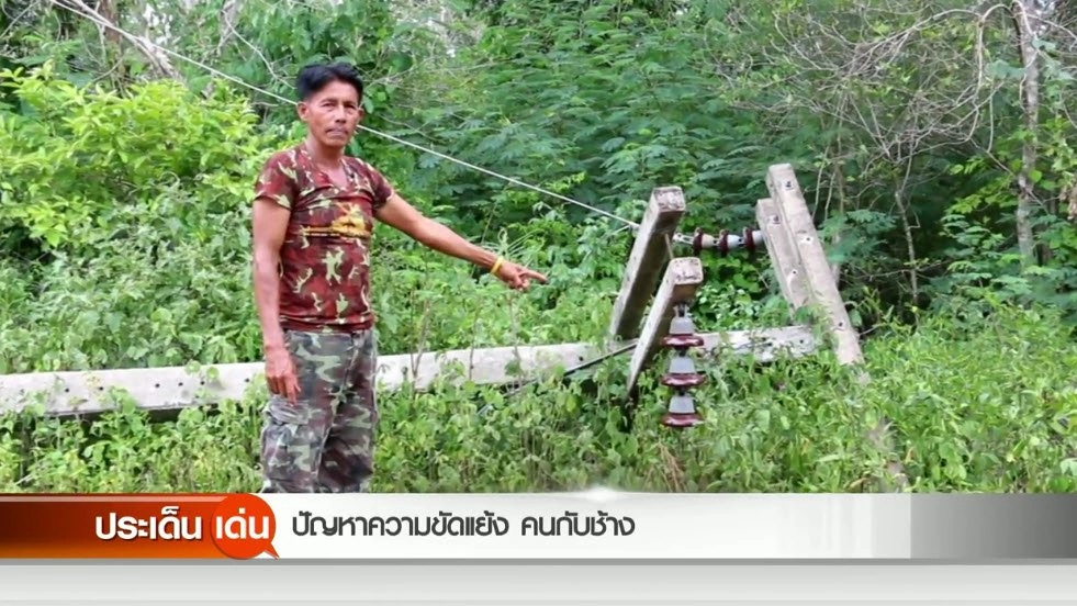 ปัญหาความขัดแย้ง คนกับช้าง