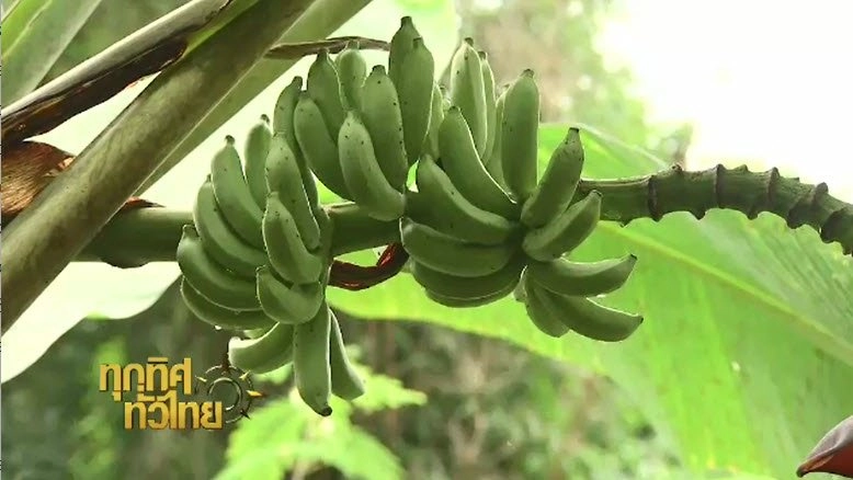 ประเด็นข่าว (9 ก.ย. 59)