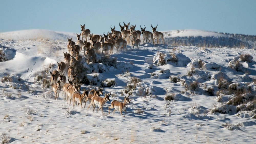 มหากาพย์อพยพข้ามโลก ตอน ชีวิตต้องสู้