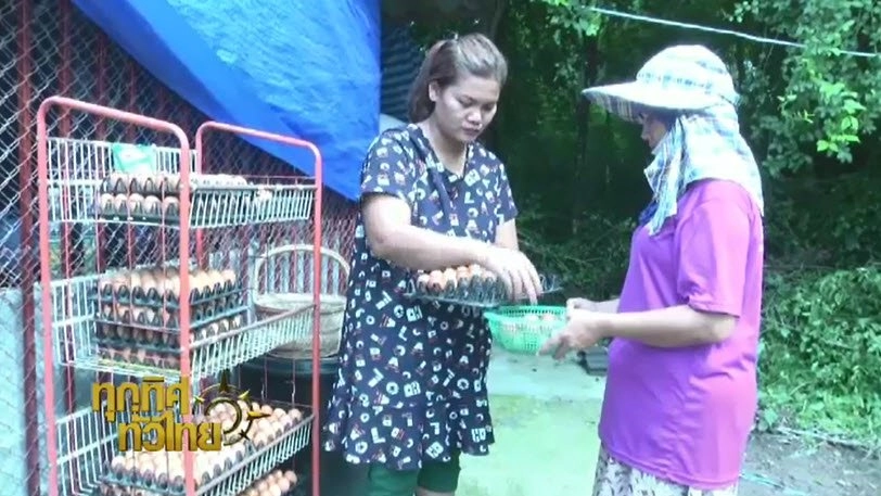 ประเด็นข่าว (13 ก.ย. 59)