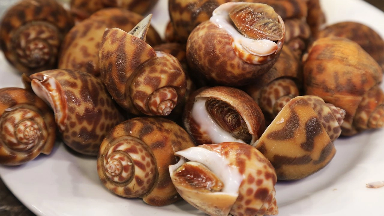 หอยหมาก