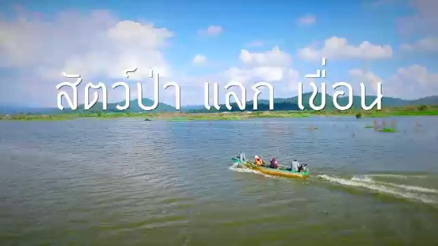 สัตว์ป่าแลกเขื่อน