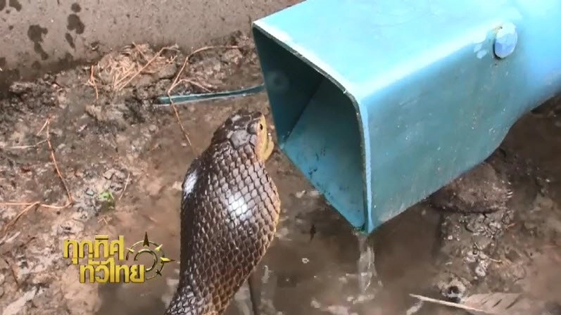 ประเด็นข่าว (14 ก.ย. 59)