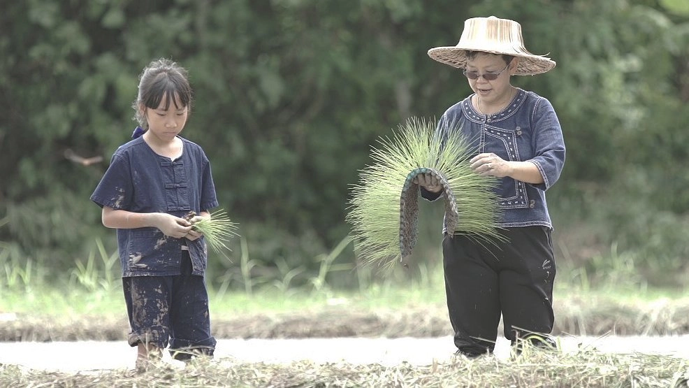 โรงเรียนชาวนาน้อย