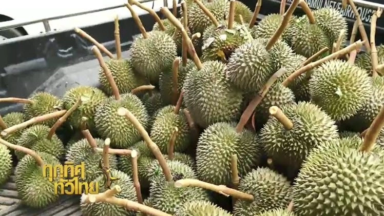 ประเด็นข่าว (15 ก.ย. 59)