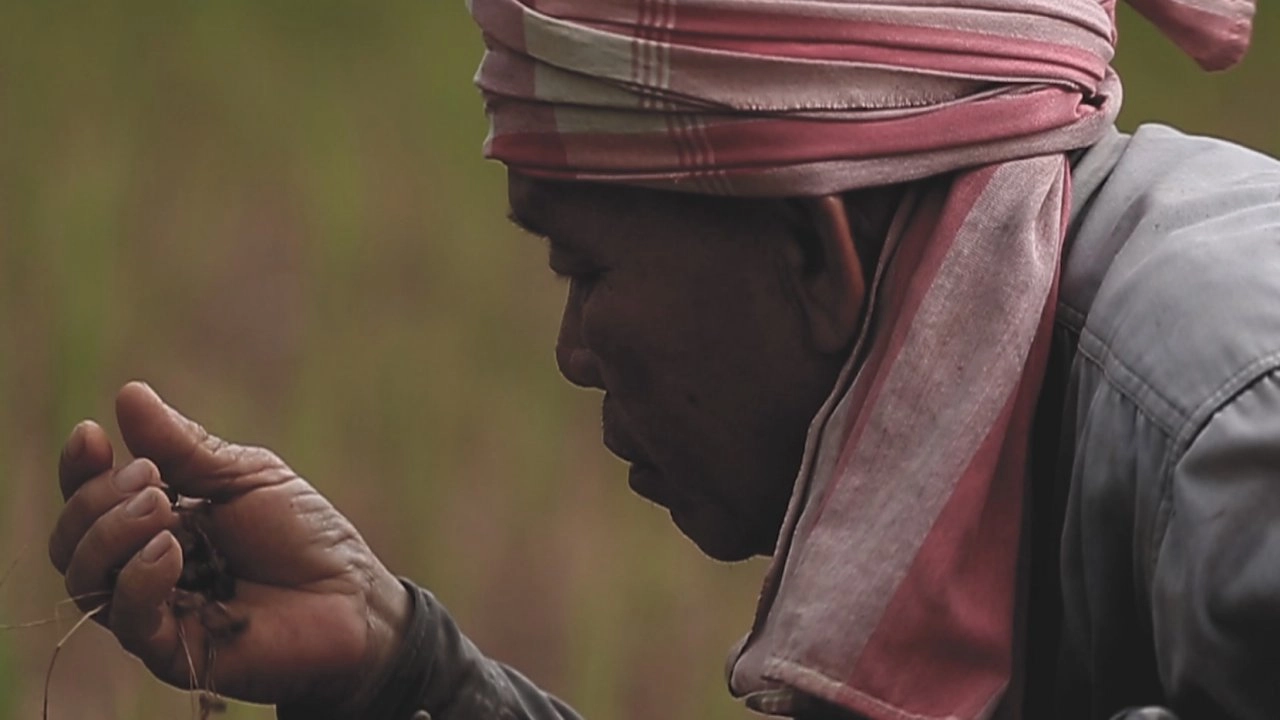 ครอบครัว "วงค์แสนไชย ตอน 1"