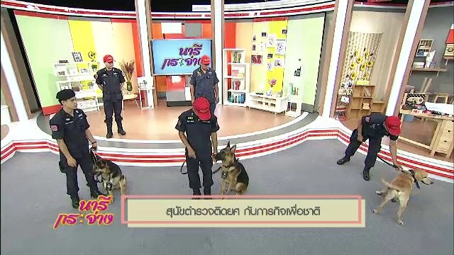 สุนัขตำรวจติดยศ กับภารกิจเพื่อชาติ, กับดักยุงแบบธรรมชาติ,  จะทำอย่างไรเมื่อพบวัตถุต้องสงสัย