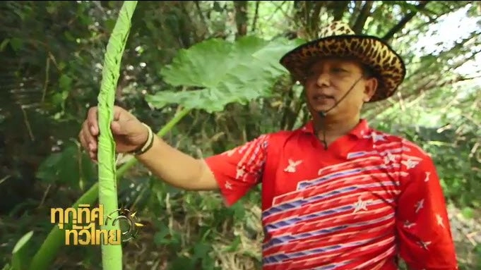 ประเด็นข่าว (22 ก.ย. 59)