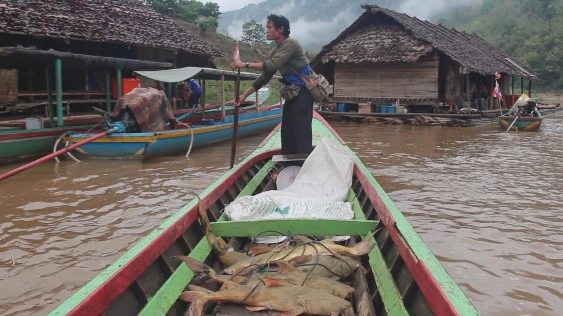 ฝืนธรรมชาติ