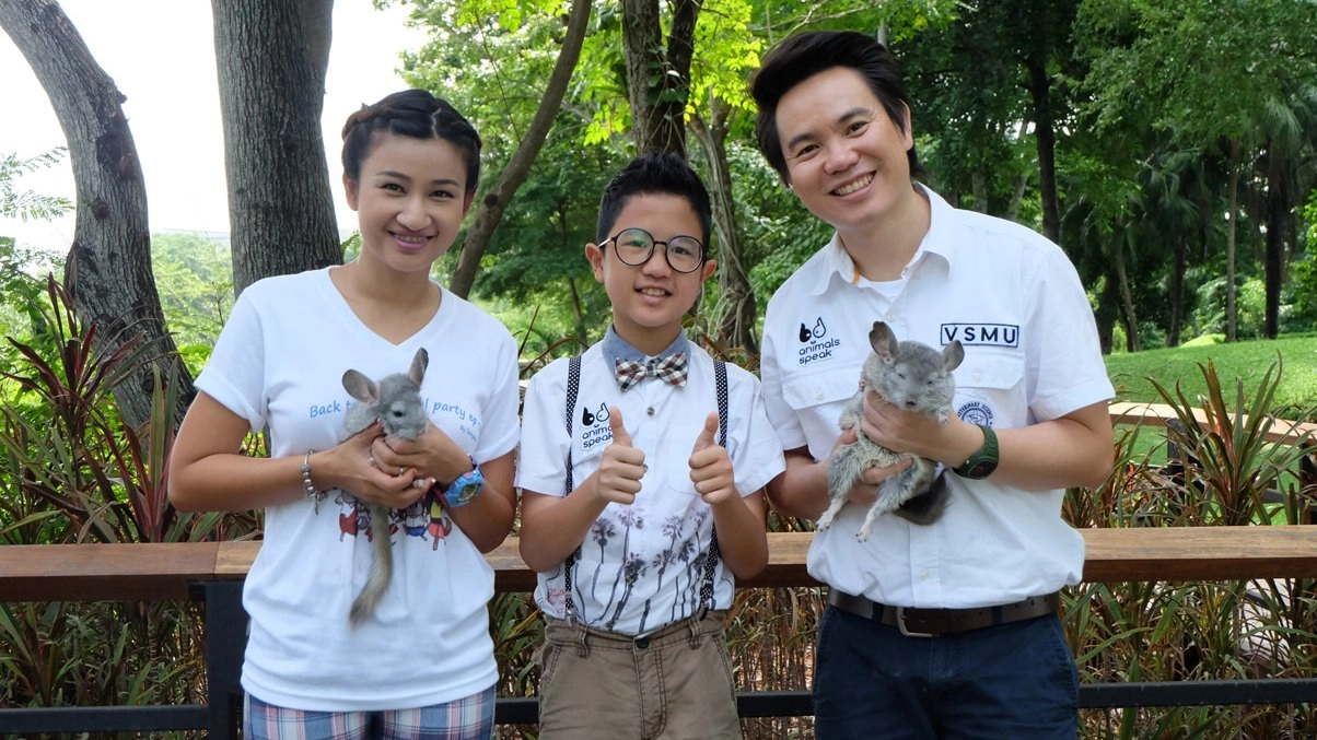 ชินชิลลา