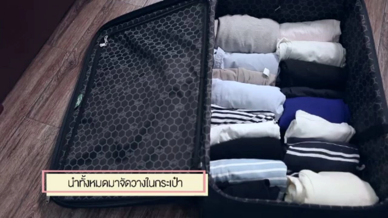 เทคนิคการจัดกระเป๋า, กินบ๊วยเพื่อสุขภาพ, วิธียืดอายุน้องหมา