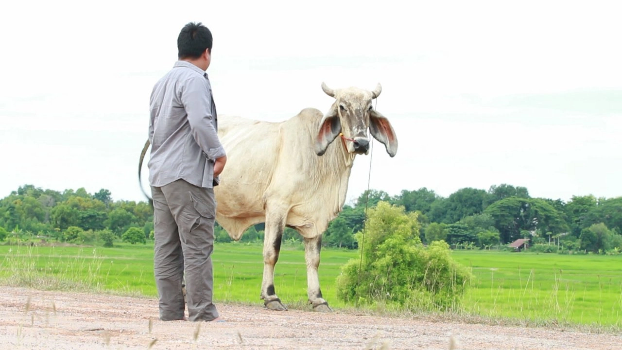เจริญประเทศสีเขียว,  โนนสัง คลังปลาที่ราบสูง, ห้องเรียนธรรมชาติที่ "หาดสมิหลา"