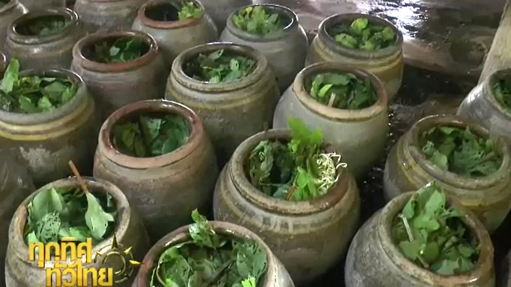 ประเด็นข่าว (29 ก.ย. 59)