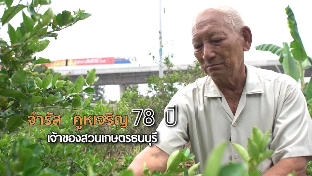 ลุงจำรัส