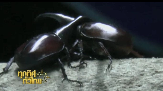 ประเด็นข่าว (7 ต.ค. 59)