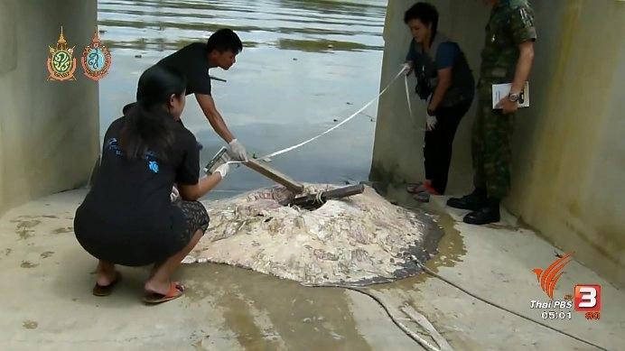 ประเด็นข่าว (10 ต.ค. 59)