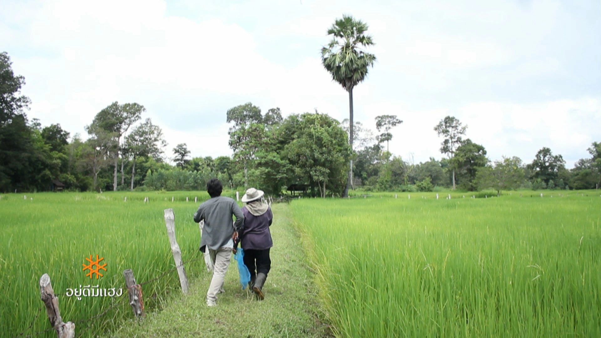 น้ำปลีกบ่หวาน,  Safety Zone พื้นที่ปลอดภัย, ครูดนตรีไร้สัญชาติ